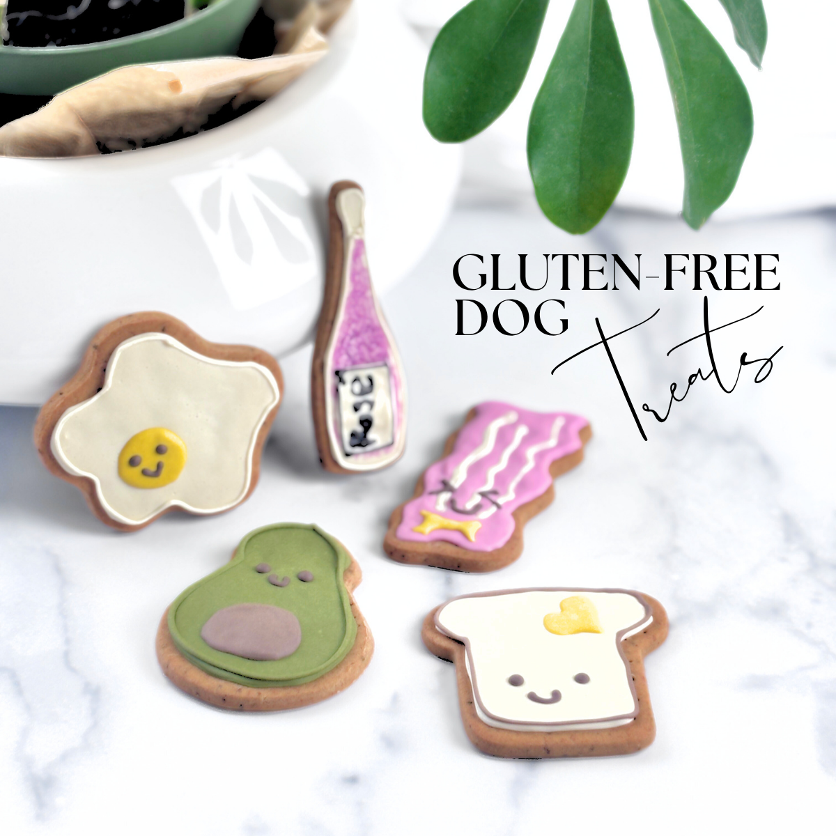 Brunchin' Dog Treats Gift Box (Box of 5 Healthy Gluten-Free Dog Cookies)