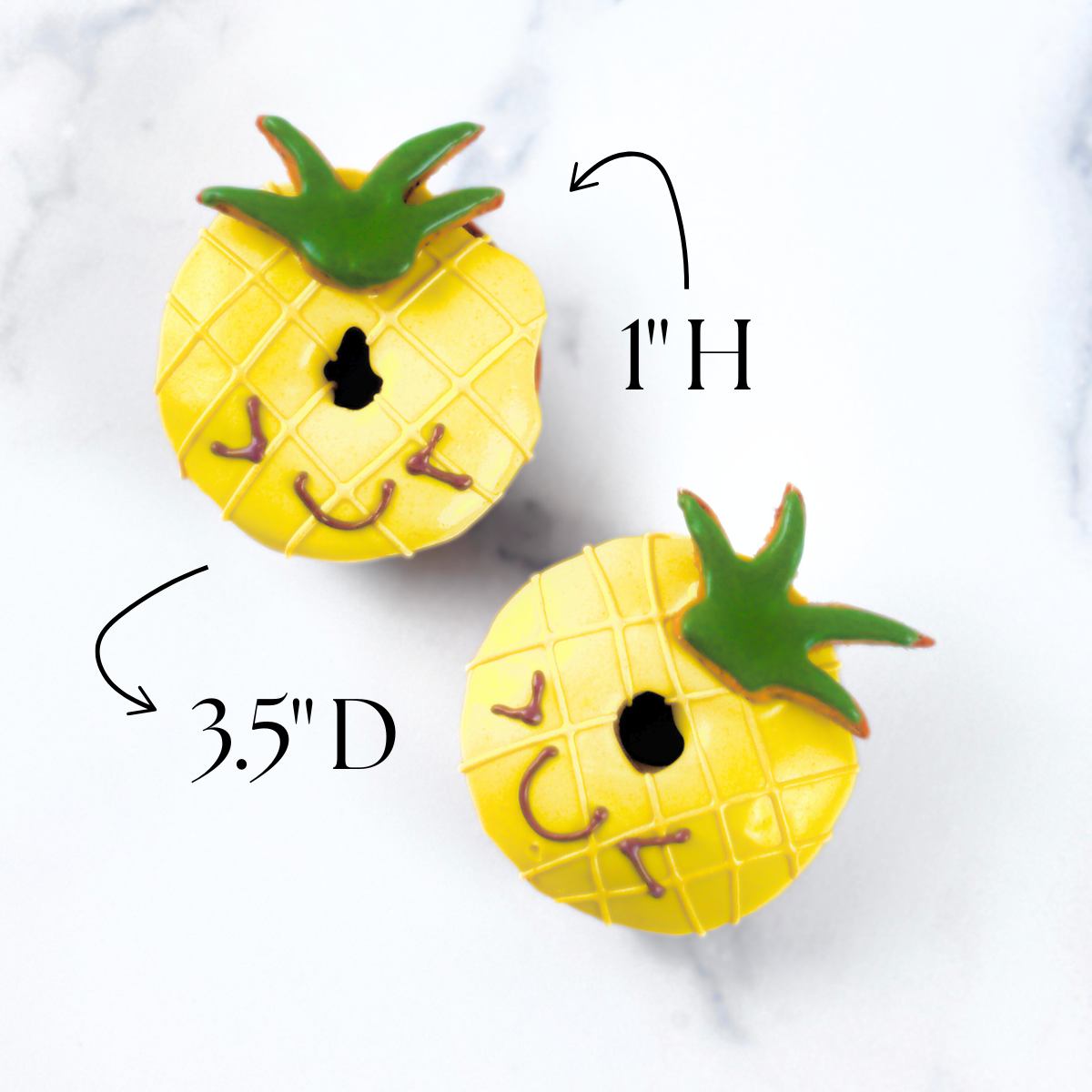 "PINEAPPLE" DOGGIE DONUT + DOG TREAT GIFT BOX