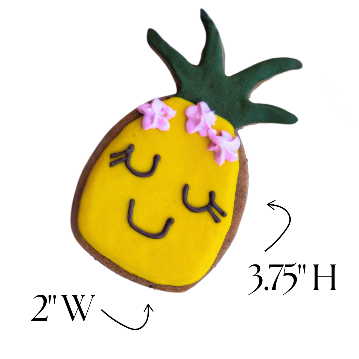 "PINEAPPLE" DOGGIE DONUT + DOG TREAT GIFT BOX