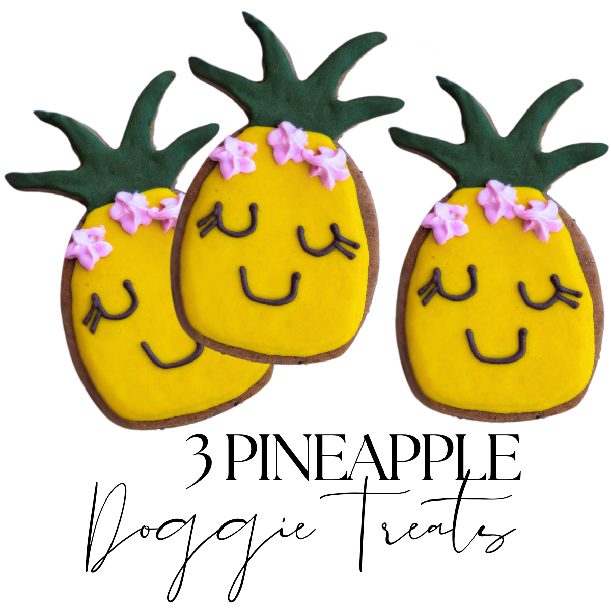 "PINEAPPLE" DOGGIE DONUT + DOG TREAT GIFT BOX