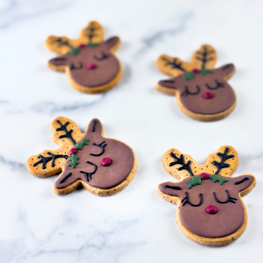 Christmas Treats for Dogs | Rudolph Dog Treat Gift Set