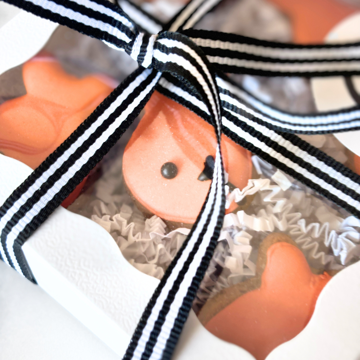 Goldfish Dog Treats Gift Box