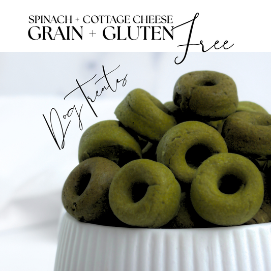 Superfood Spinach, Green Spirulina and Cottage Cheese Healthy Dog Treats in the shape of mini donuts. We call them Daisy Loops a playful color reference to Fruit Loops but for dogs.
