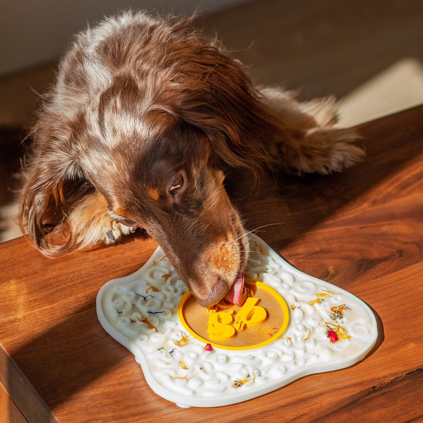 Bowls + Feeders