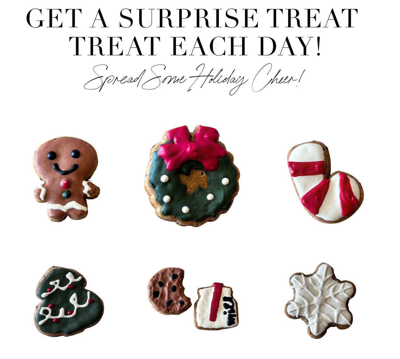 12 Days of Christmas Dog Treat Advent Calendar for Dogs