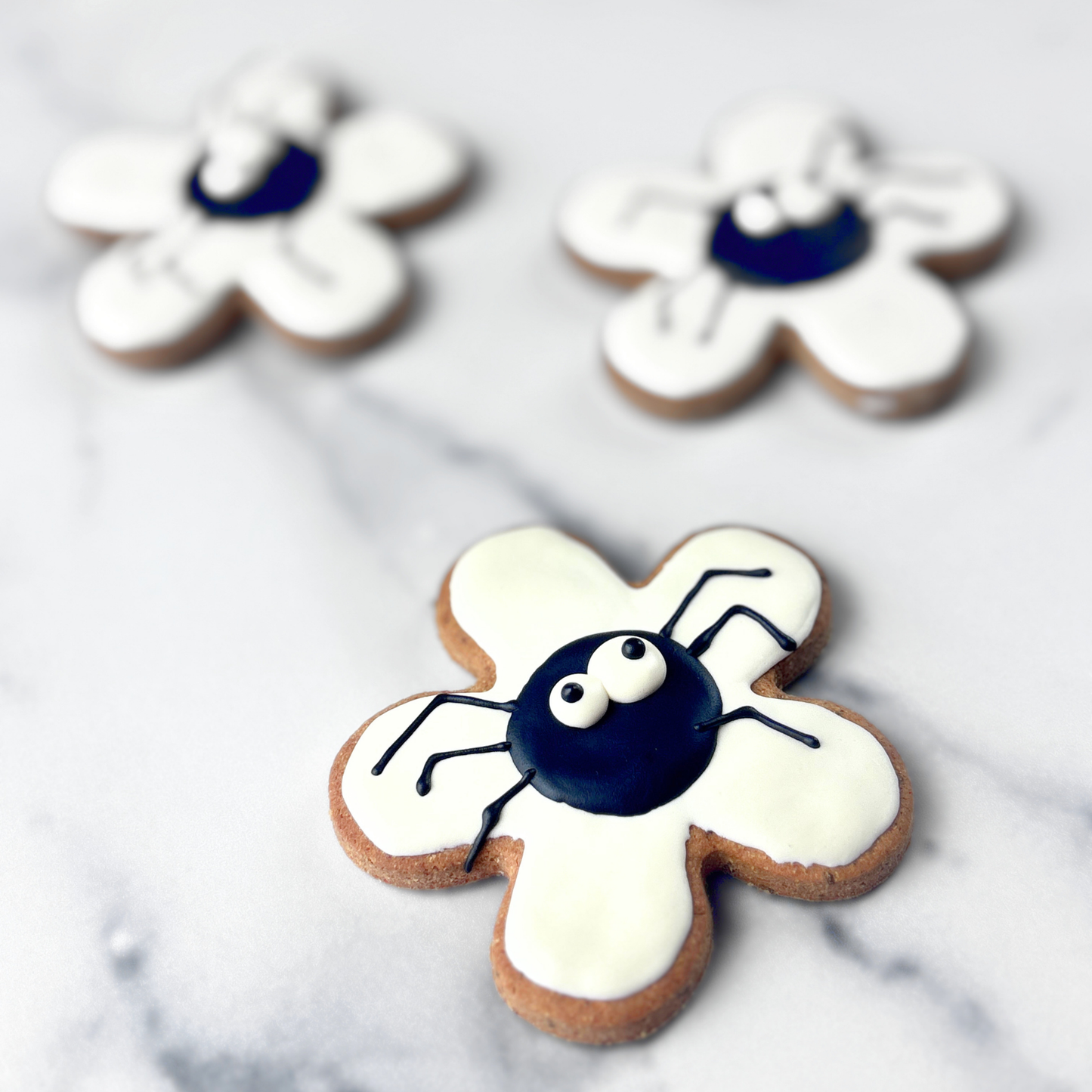 Halloween Spider Dog Treats — Grain & Gluten-Free, Handmade