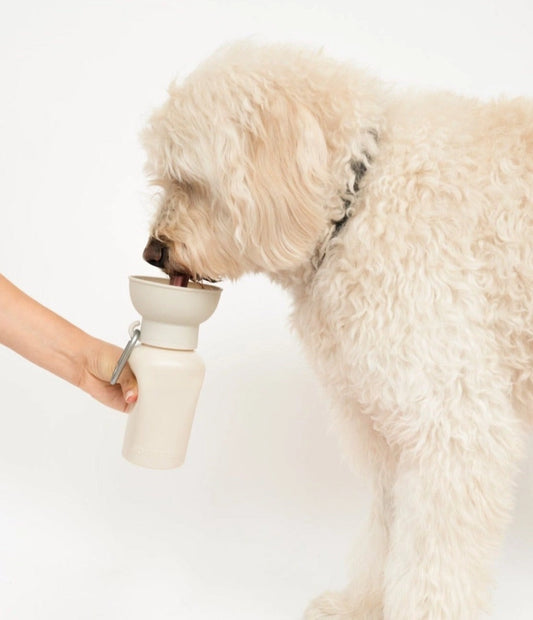 Dog Bottle | Flip Top Water Bottle