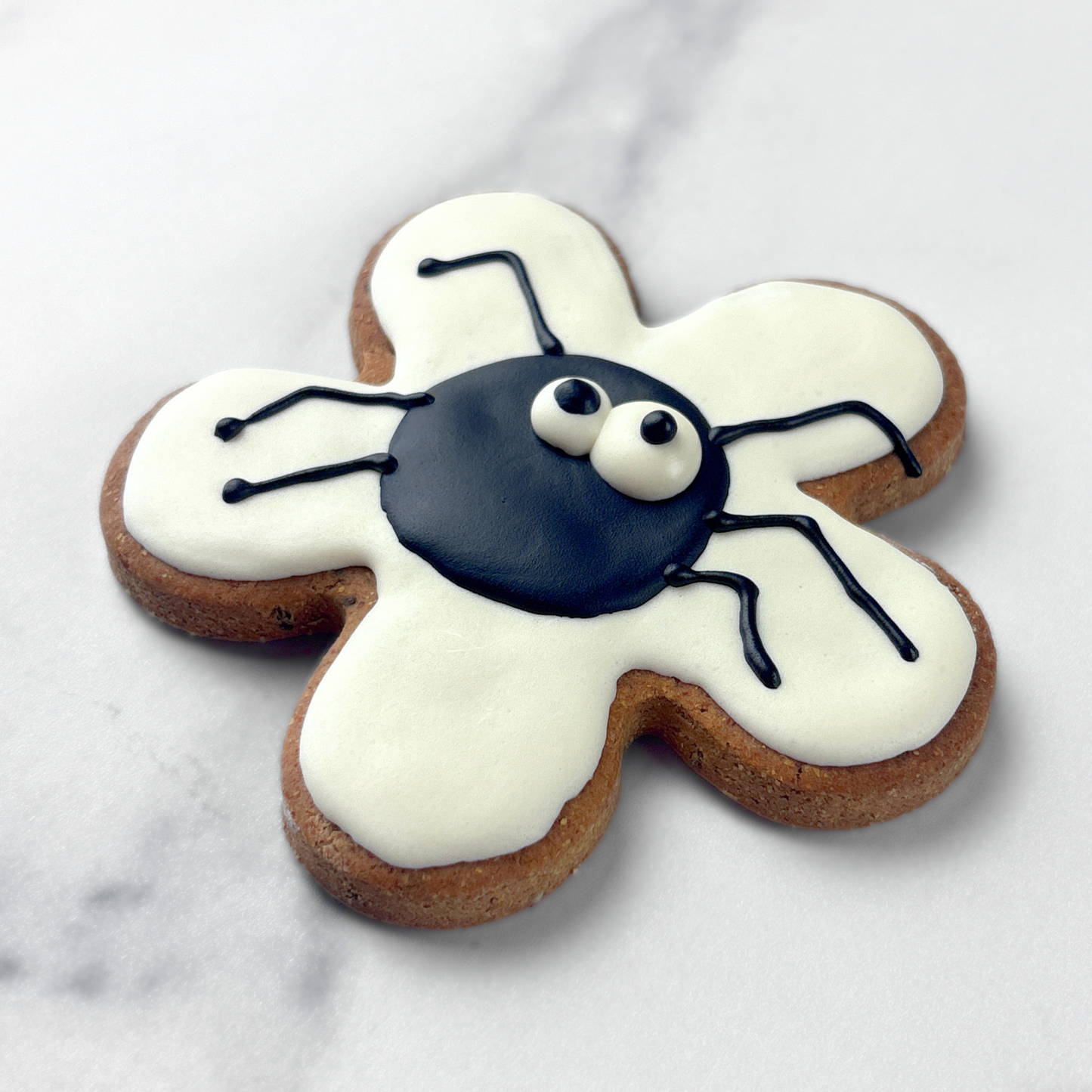 Halloween Spider Dog Treats — Grain & Gluten-Free, Handmade