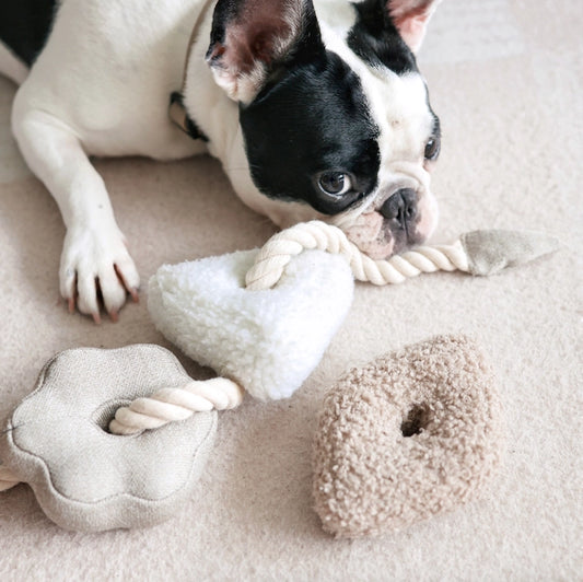 DoNUTS Blocs Enrichment Dog Toy