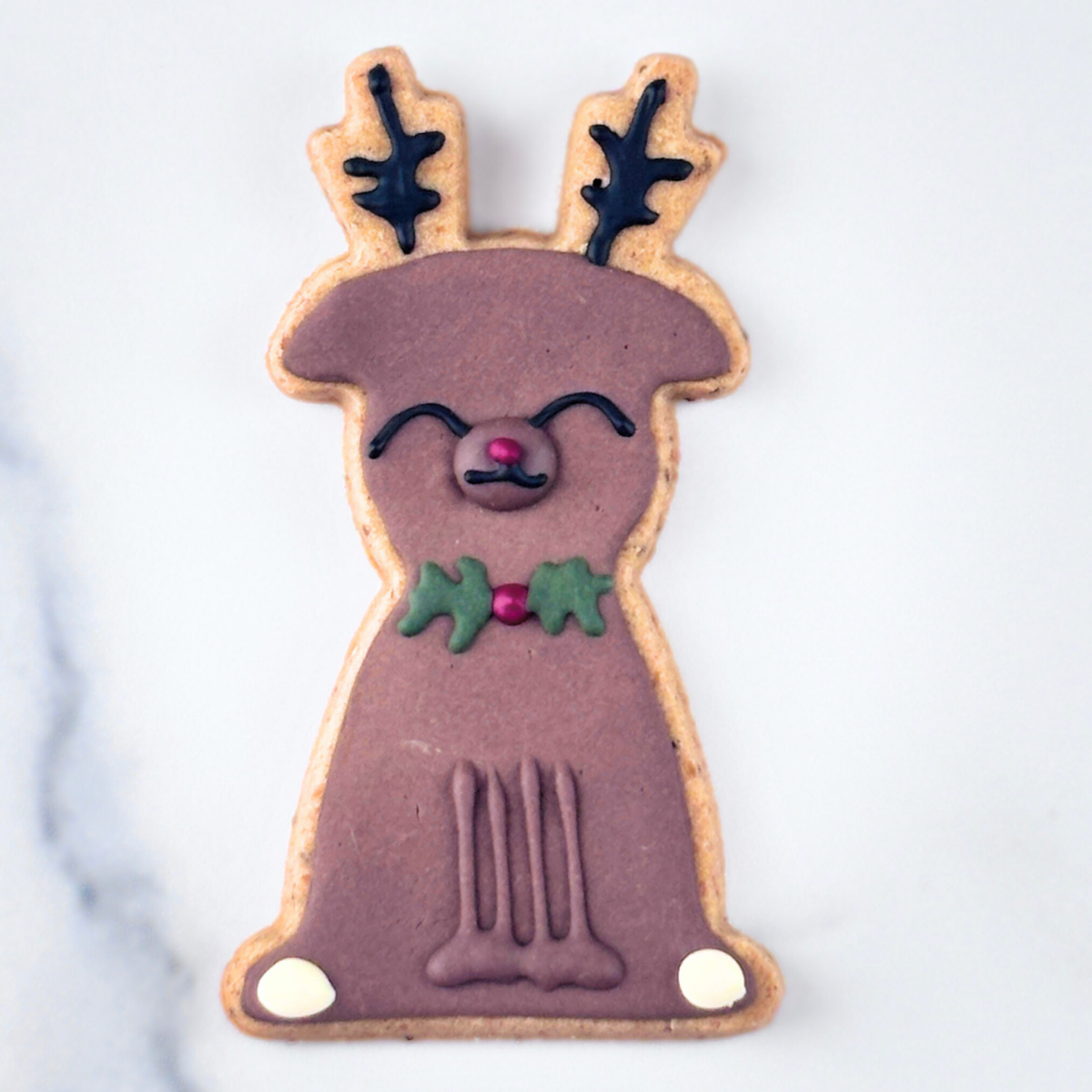 Christmas Treats for Dogs | Rudolph Dog Treat Gift Set