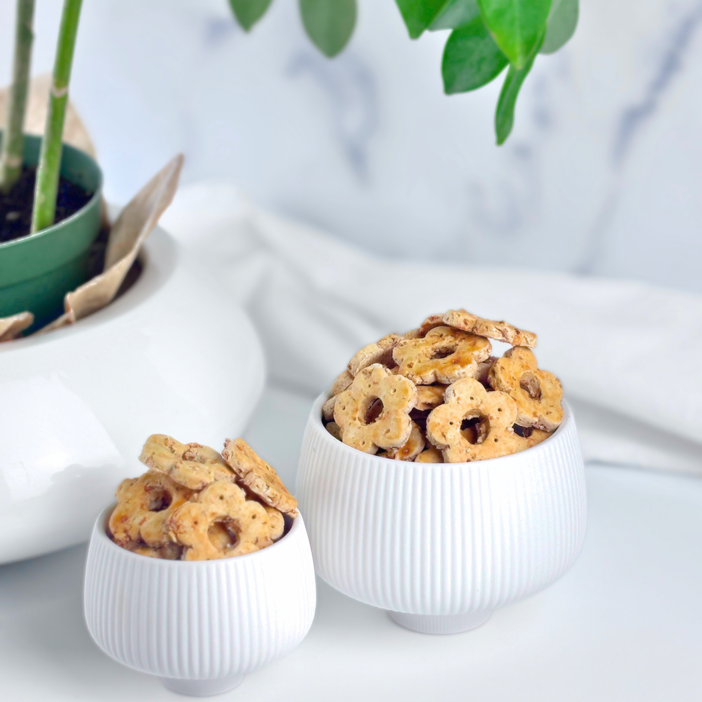 6oz and 10oz gift ready packaging hand cut daisy bites maple bacon gluten free dog treats