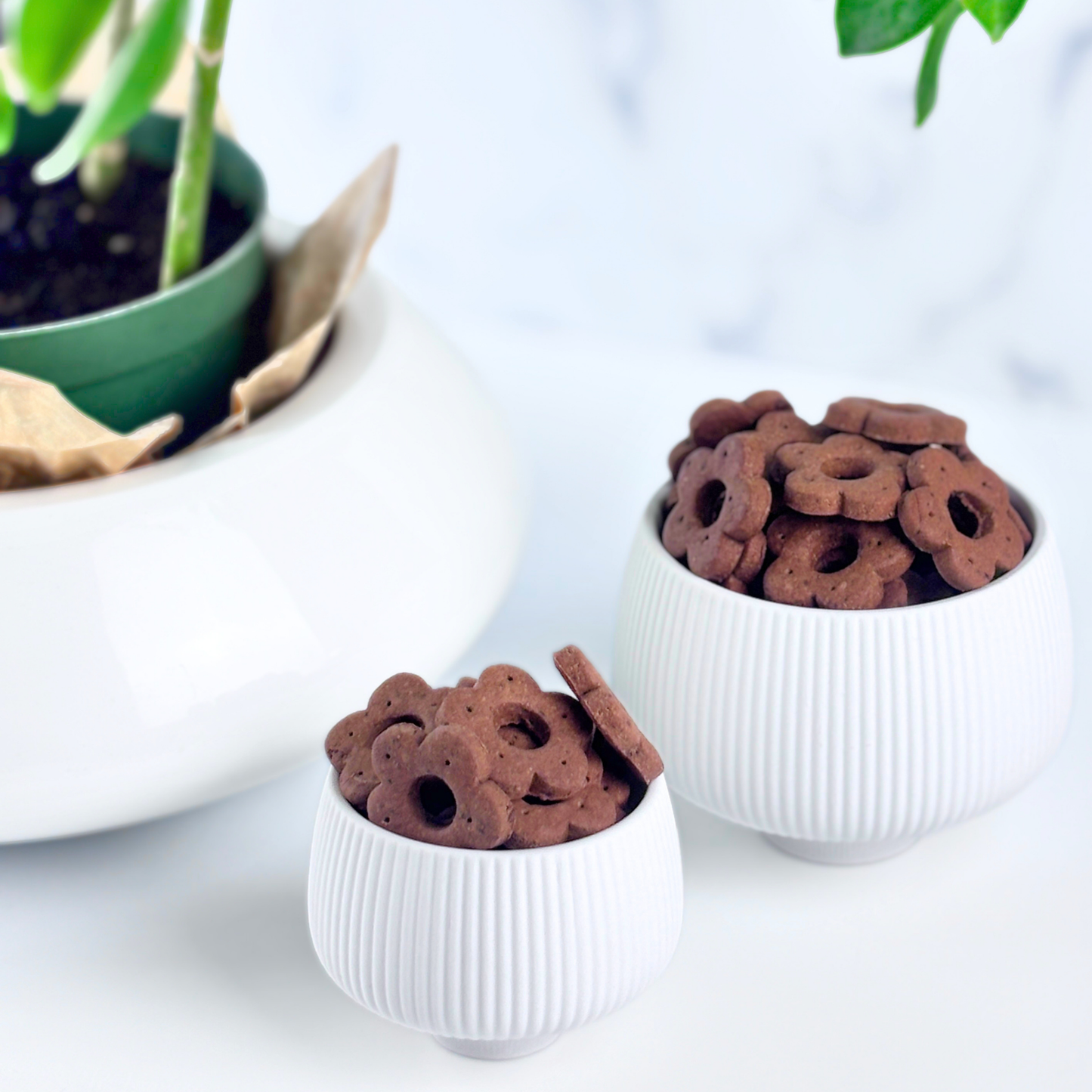 grain and gluten free peanut butter berry artisan treats daisy shaped packaging 6oz and 10oz gift ready
