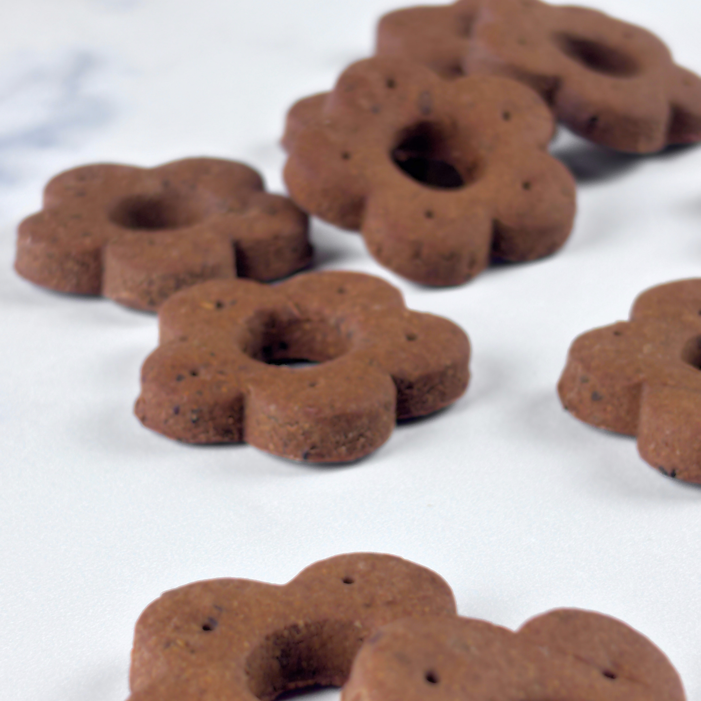 grain and gluten free peanut butter dog treats small batch artisan hand cut