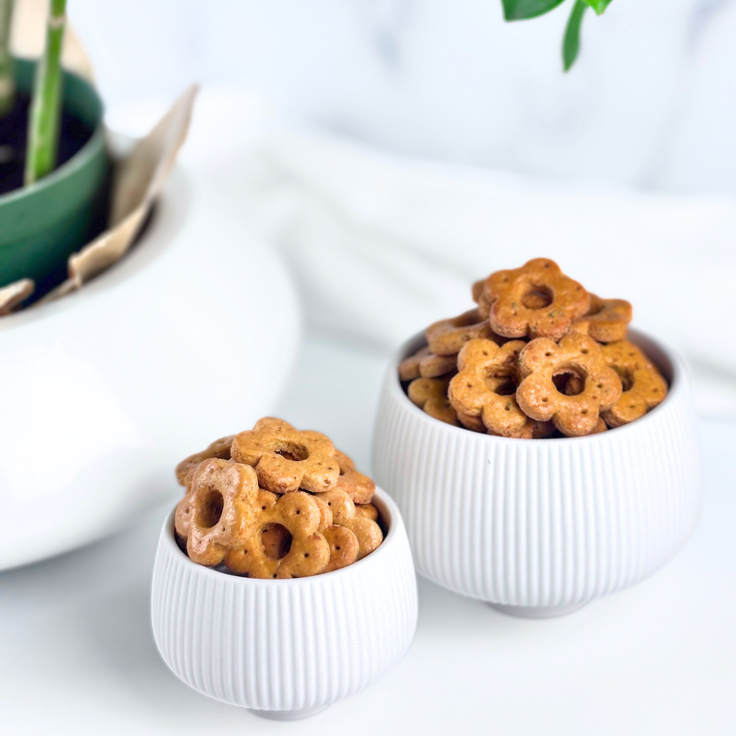 real roasted chicken apple rosemary grain free gluten free dog treats real ingredients gift ready gift packaging