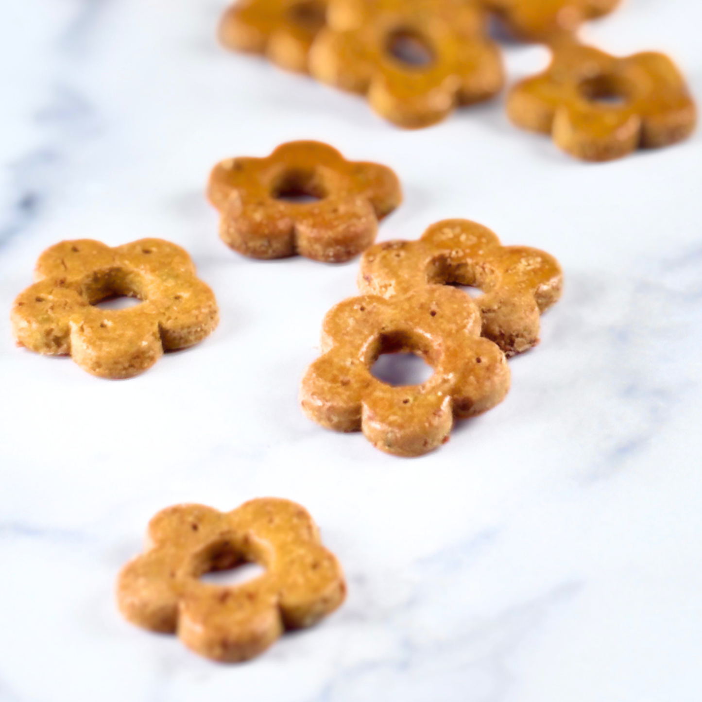 hand cut daisy shaped chicken apple rosemary dog treats small batch grain free gluten free