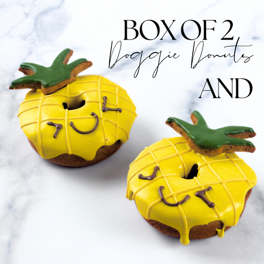 "PINEAPPLE" DOGGIE DONUT + DOG TREAT GIFT BOX