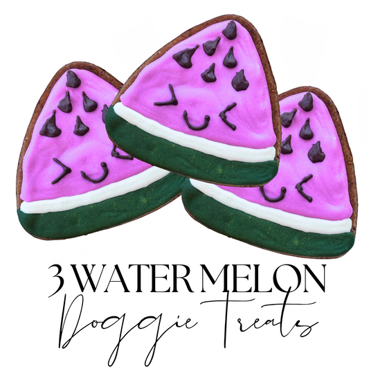"WATERMELON" DOGGIE CAKEPOPS + DOG TREAT GIFT BOX