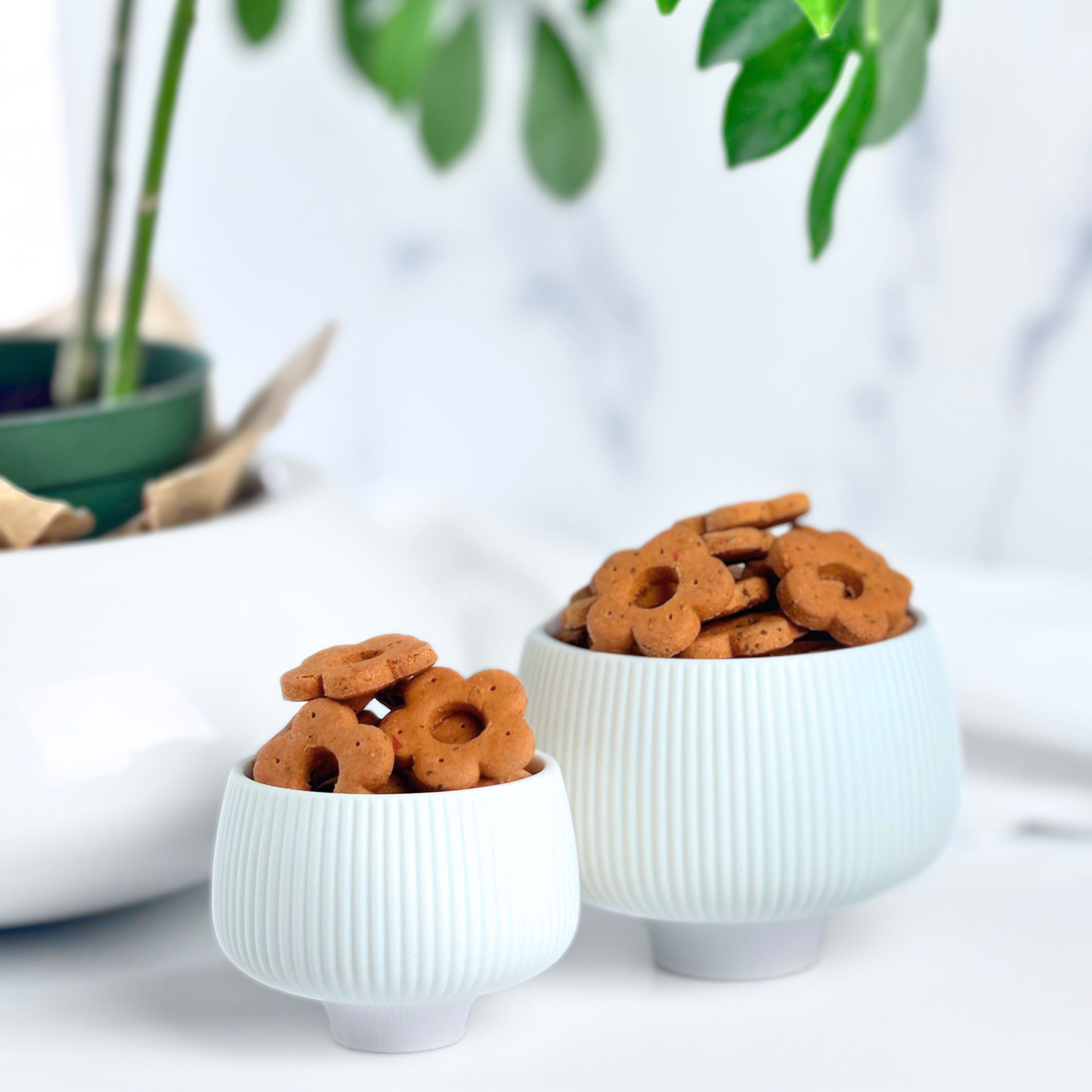 gift ready grain free gluten free cheesy carrot tomato dog treats daisy bites 6oz 10oz gift bag packaging