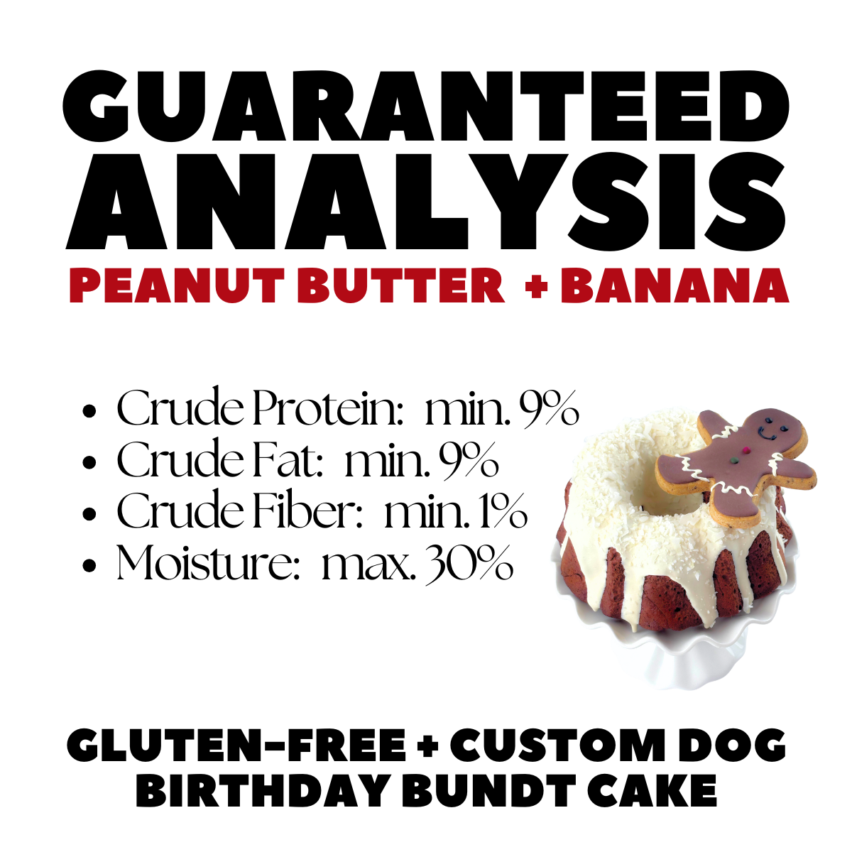 Christmas Dog Cake and Gingerbread Man Dog Treat