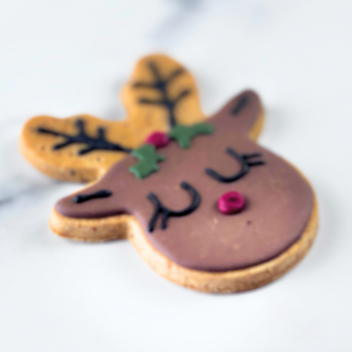 Christmas Treats for Dogs | Rudolph Dog Treat Gift Set