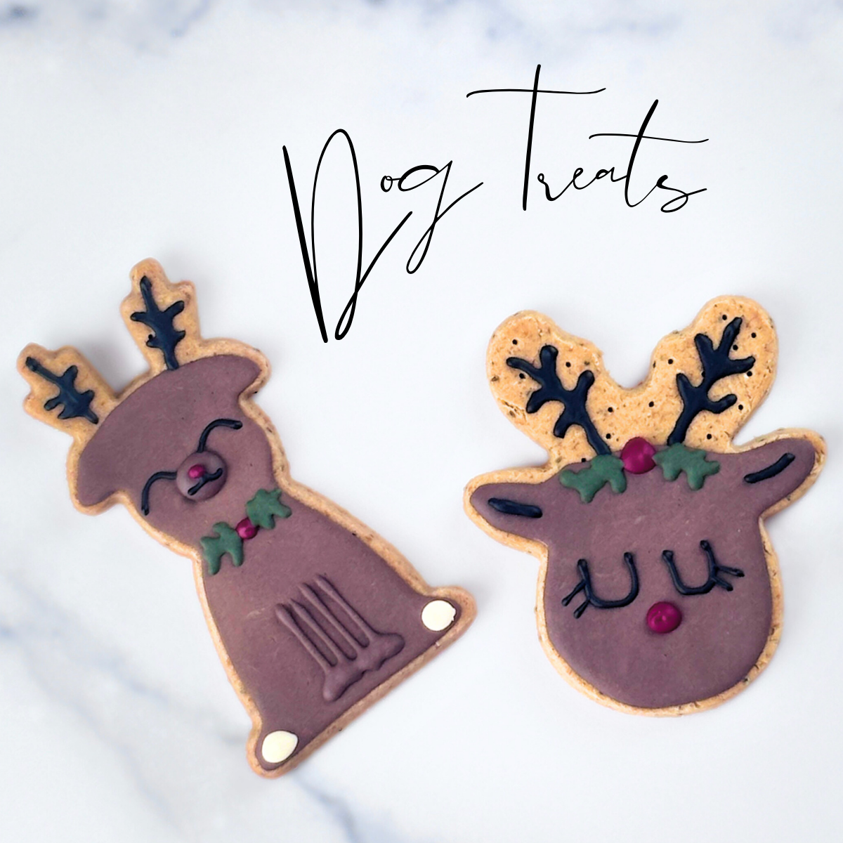 Christmas Treats for Dogs | Rudolph Dog Treat Gift Set