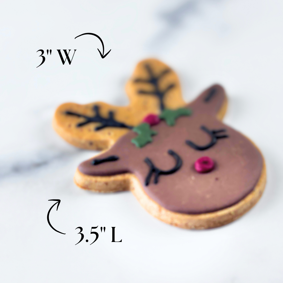 Christmas Treats for Dogs | Rudolph Dog Treat Gift Set