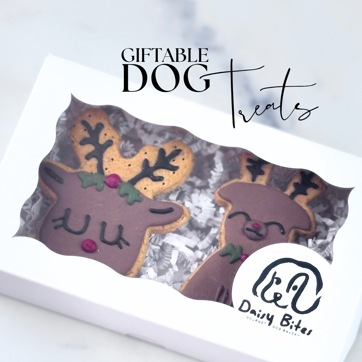 Christmas Treats for Dogs | Rudolph Dog Treat Gift Set