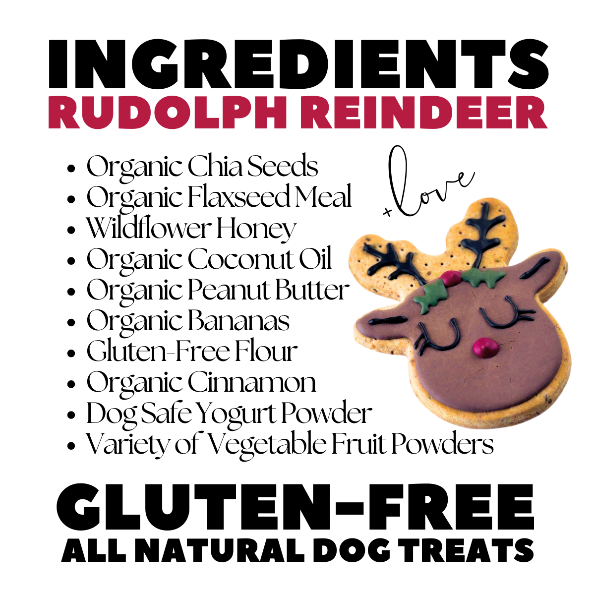Christmas Treats for Dogs | Rudolph Dog Treat Gift Set
