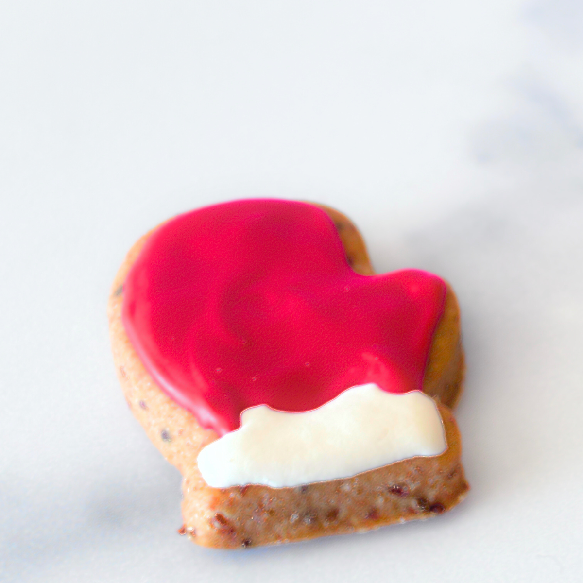 12 Days of Christmas Dog Treat Advent Calendar for Dogs