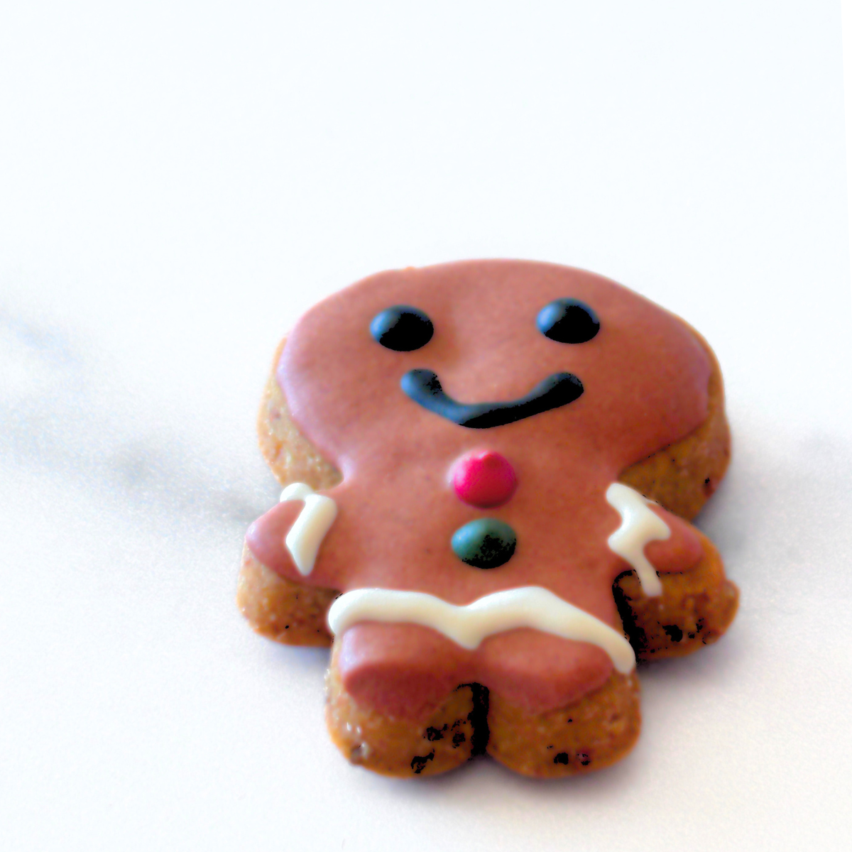 12 Days of Christmas Dog Treat Advent Calendar for Dogs