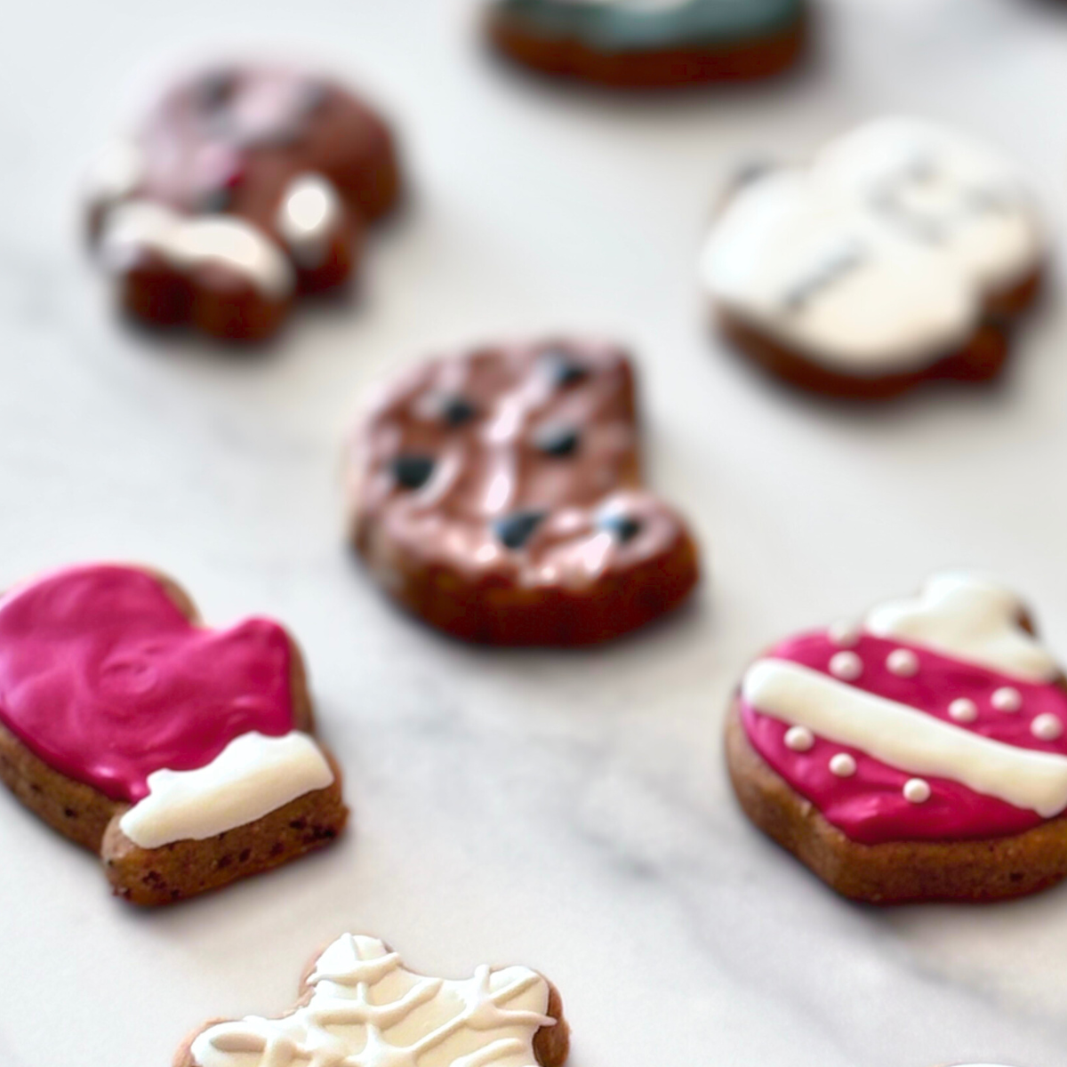 12 Days of Christmas Dog Treat Advent Calendar for Dogs