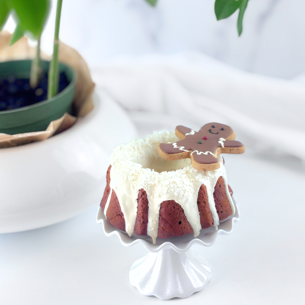 Christmas Dog Cake and Gingerbread Man Dog Treat