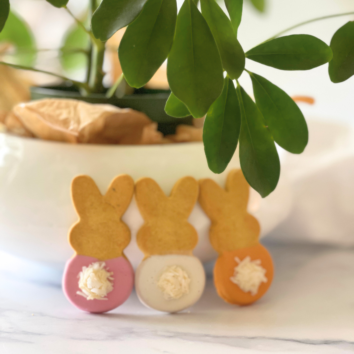 Cottontail Easter Bunnies Dog Biscuit Treats