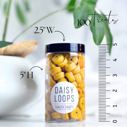 Daisy Loops "Ginger Snaps" Sweet Potato, Peanut Butter + Ginger Gluten-Free Dog Treats