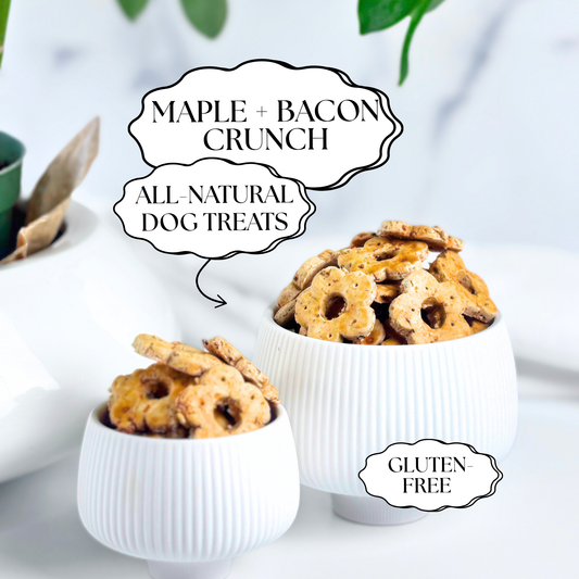 Daisy Bites Maple Bacon Dog Treats | Gluten-Free | Hand-Cut | Gift-Ready