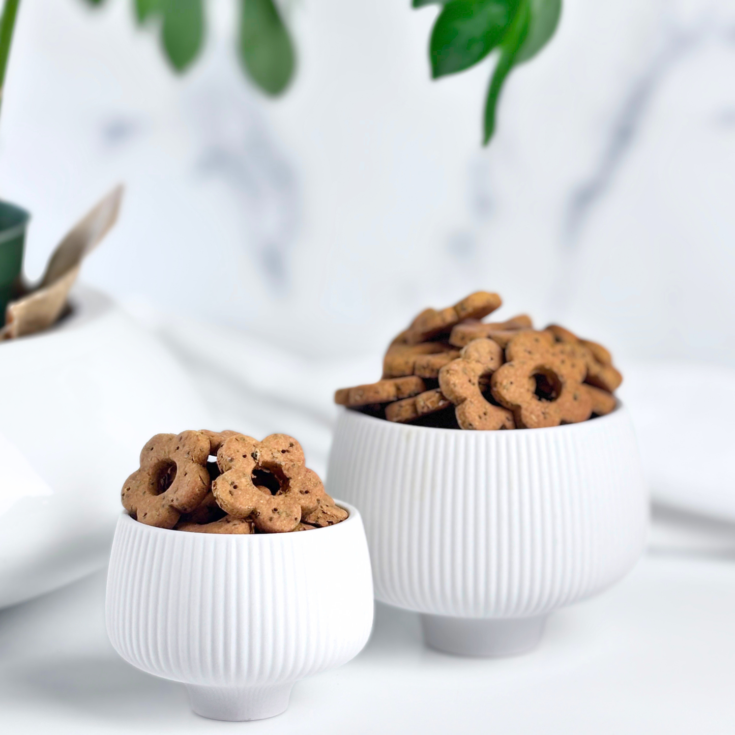 daisy bites mint apple kale fresh breath grain free gluten free dog treats hand cut daisy shape
