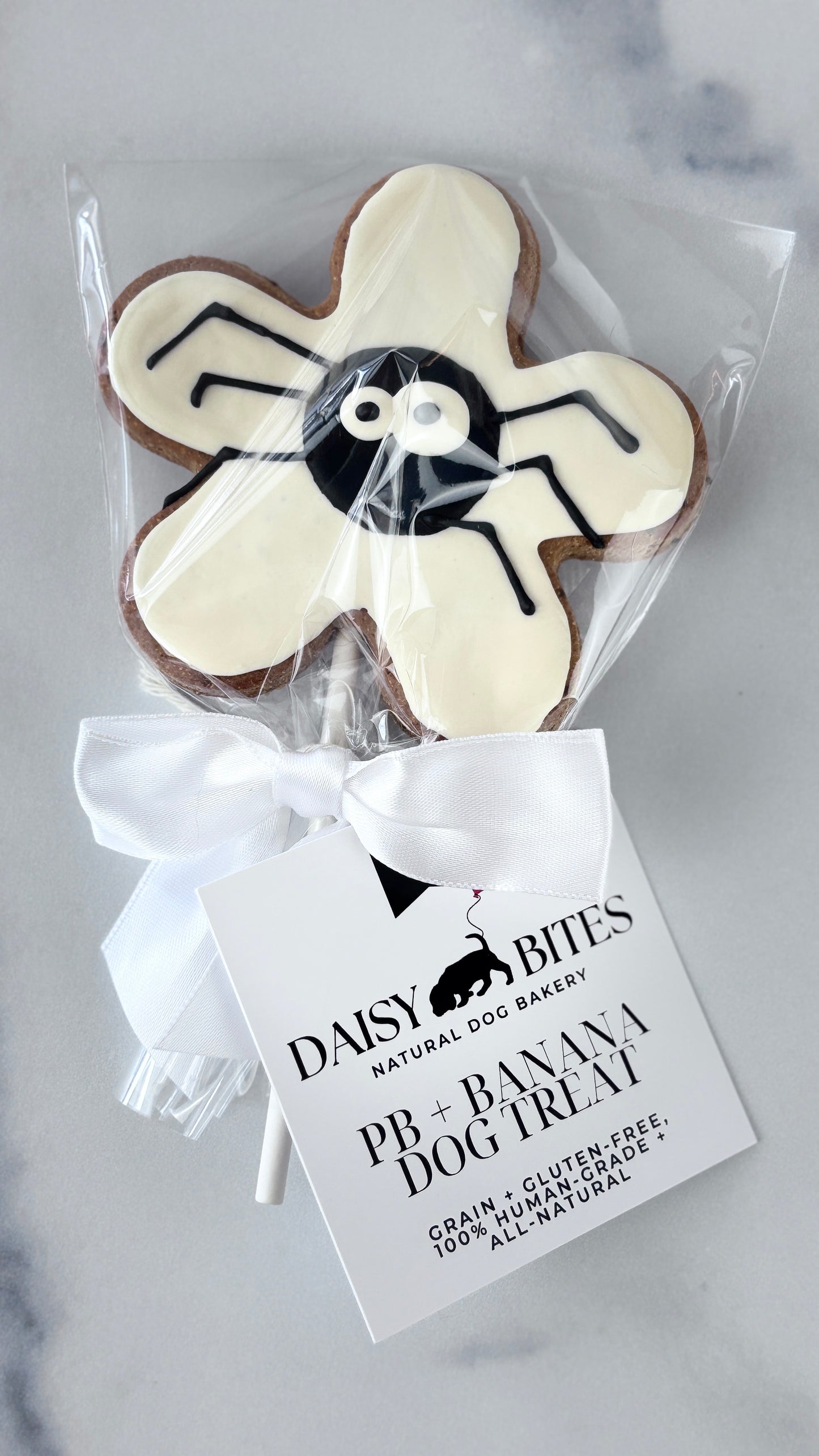 Halloween Spider Dog Treats — Grain & Gluten-Free, Handmade