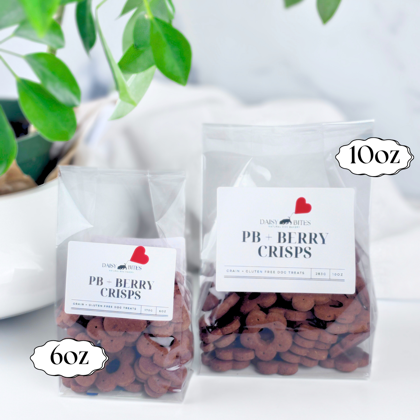 Daisy Bites Peanut Butter Berry Dog Treats | Grain & Gluten-Free | Hand-Cut | Gift-Ready