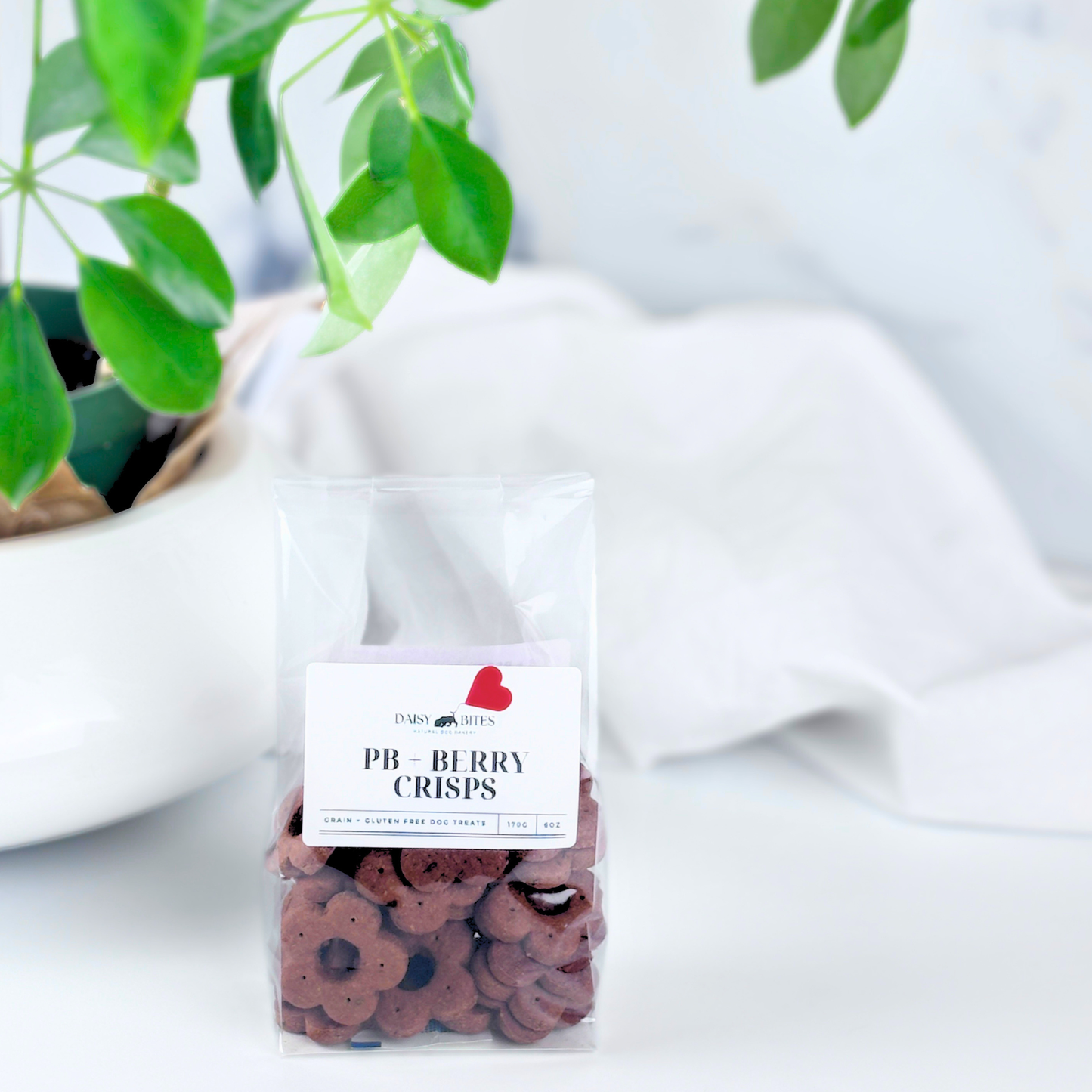 Daisy Bites Peanut Butter Berry Dog Treats | Grain & Gluten-Free | Hand-Cut | Gift-Ready