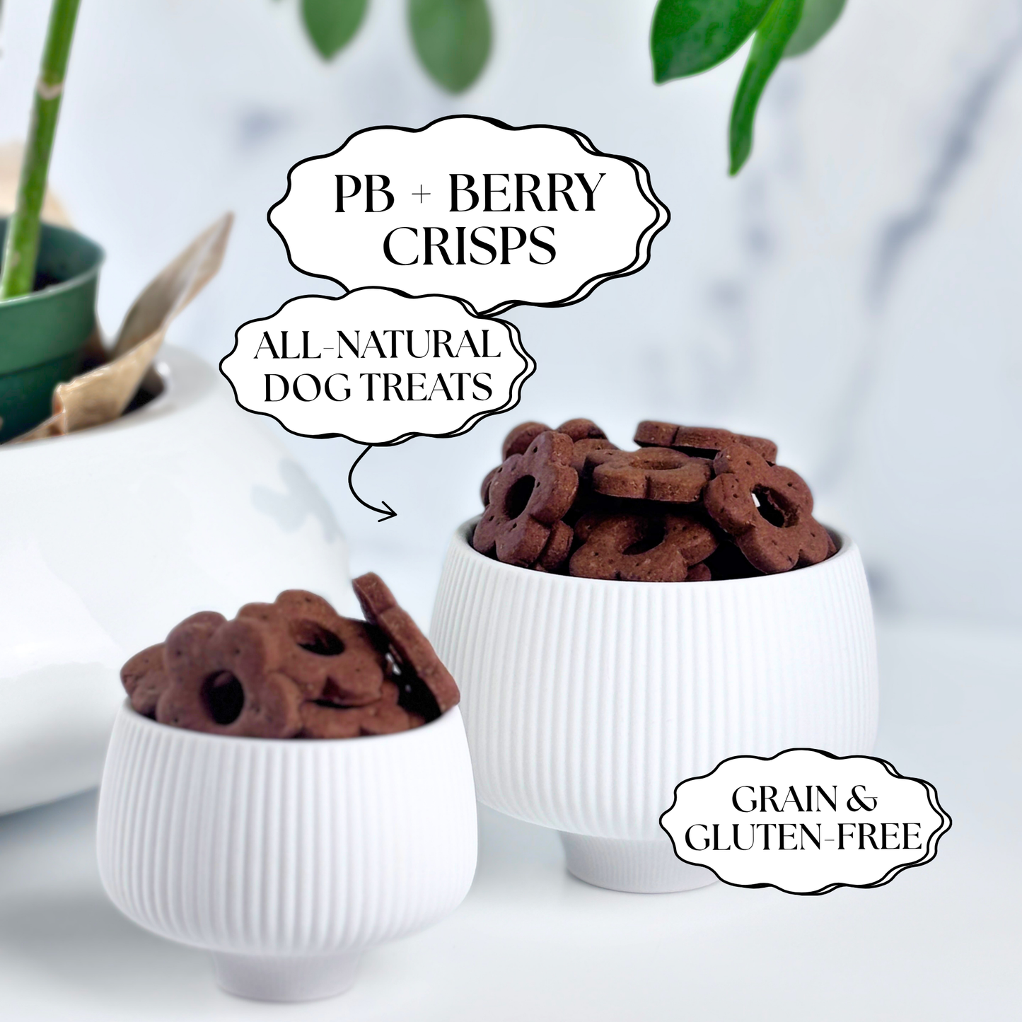 Daisy Bites Peanut Butter Berry Dog Treats | Grain & Gluten-Free | Hand-Cut | Gift-Ready
