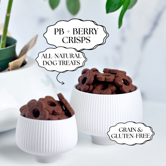 Daisy Bites Peanut Butter Berry Dog Treats | Grain & Gluten-Free | Hand-Cut | Gift-Ready