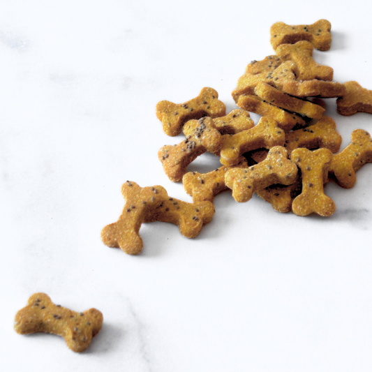 Pumpkin + Chia Seeds Organic Dog Treats