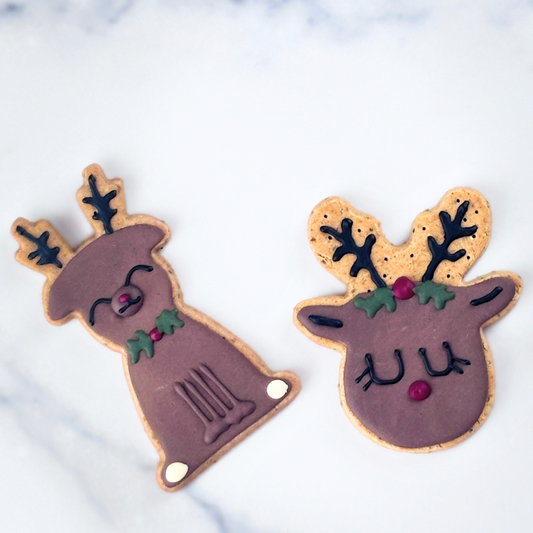 Christmas Treats for Dogs | Rudolph Dog Treat Gift Set