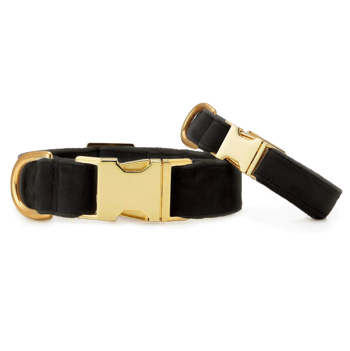 Black Velvet Dog Collar