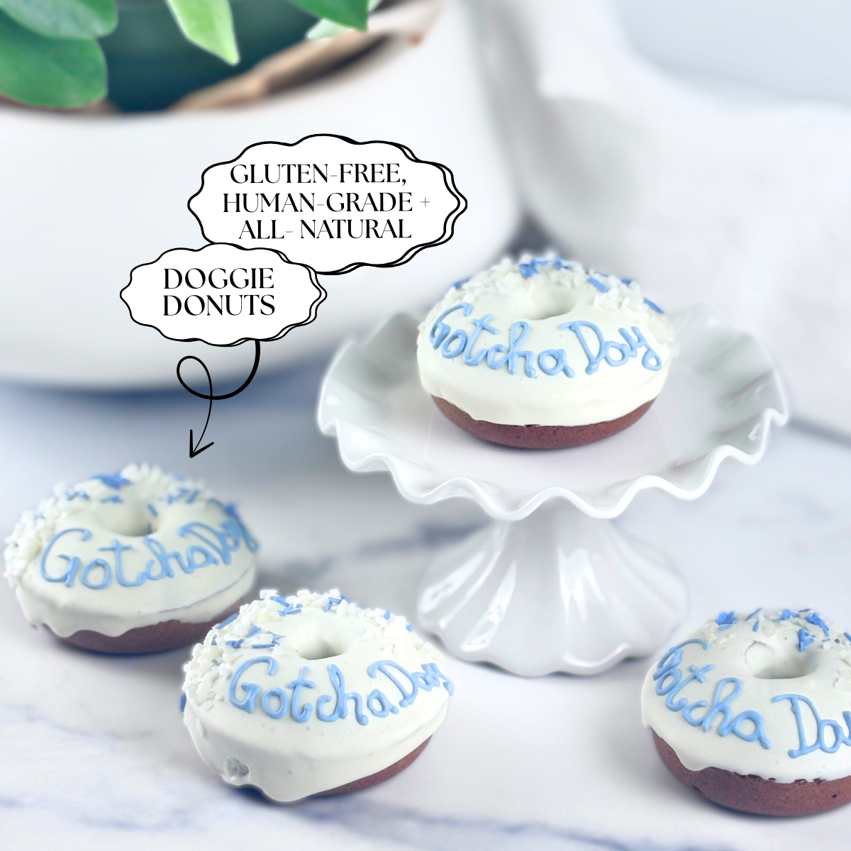 Personalized Dog Birthday & Gotcha Day Donuts Set of 4 | Gluten-Free Natural Treats