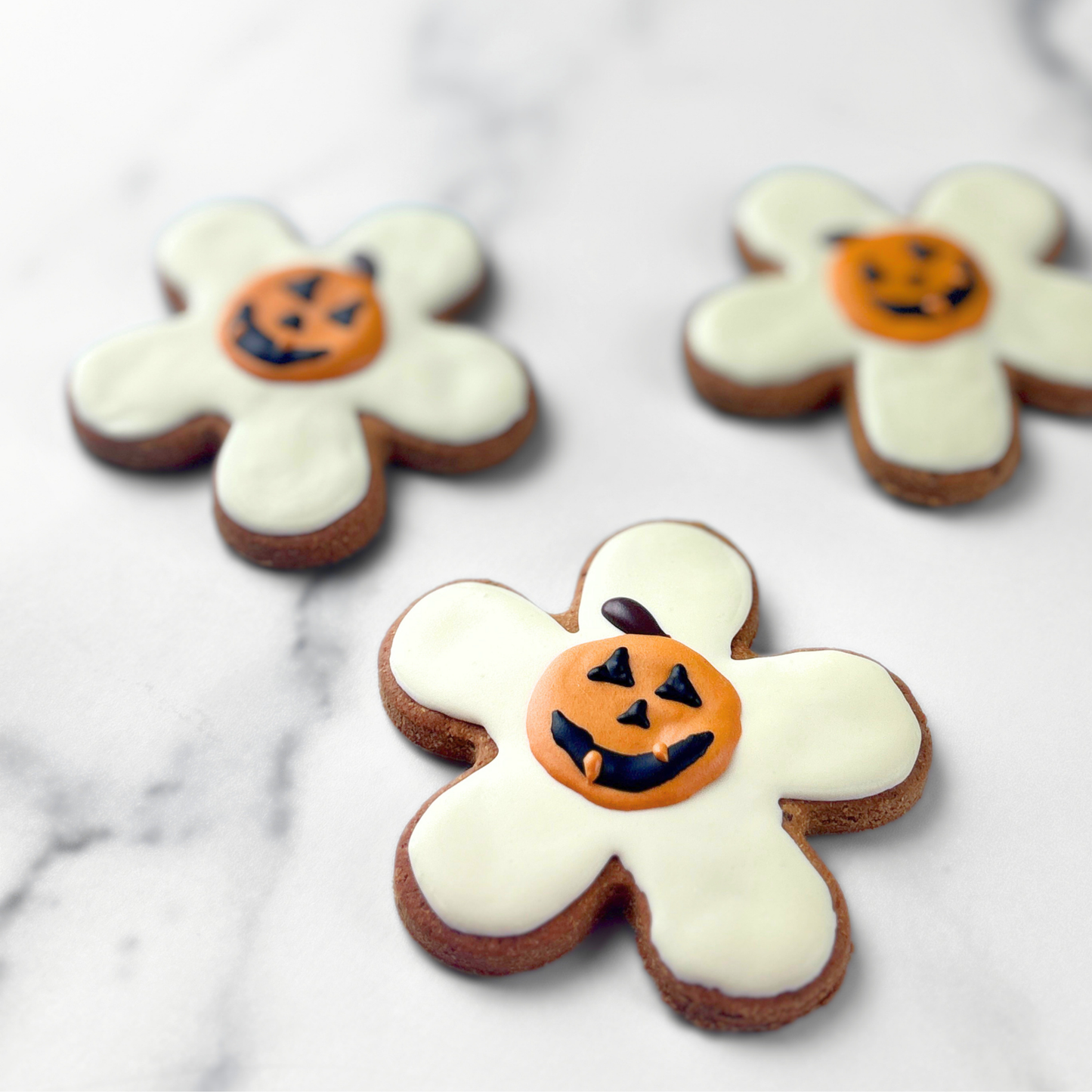 Halloween pumpkin dog treats, grain and gluten-free, handmade by Daisy Bites Natural Dog Bakery, fall themed all-natural dog cookie, dog thanksgiving gift, halloween dog party favors, howl-o-ween pet treat