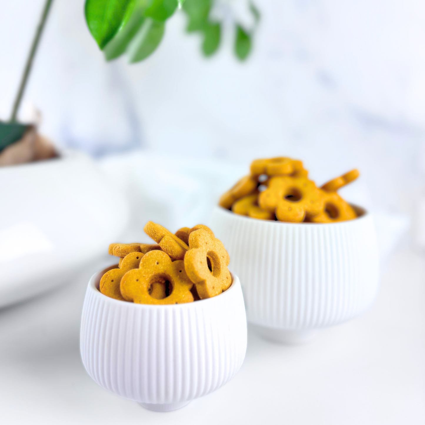 Daisy Bites Sweet Potato Ginger Turmeric Dog Treats | Anti-Inflammatory | Hand-Cut | Gift-Ready