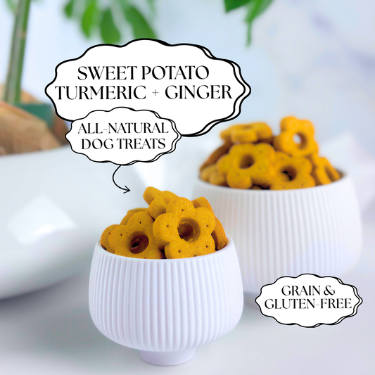 Daisy Bites Sweet Potato Ginger Turmeric Dog Treats | Anti-Inflammatory | Hand-Cut | Gift-Ready