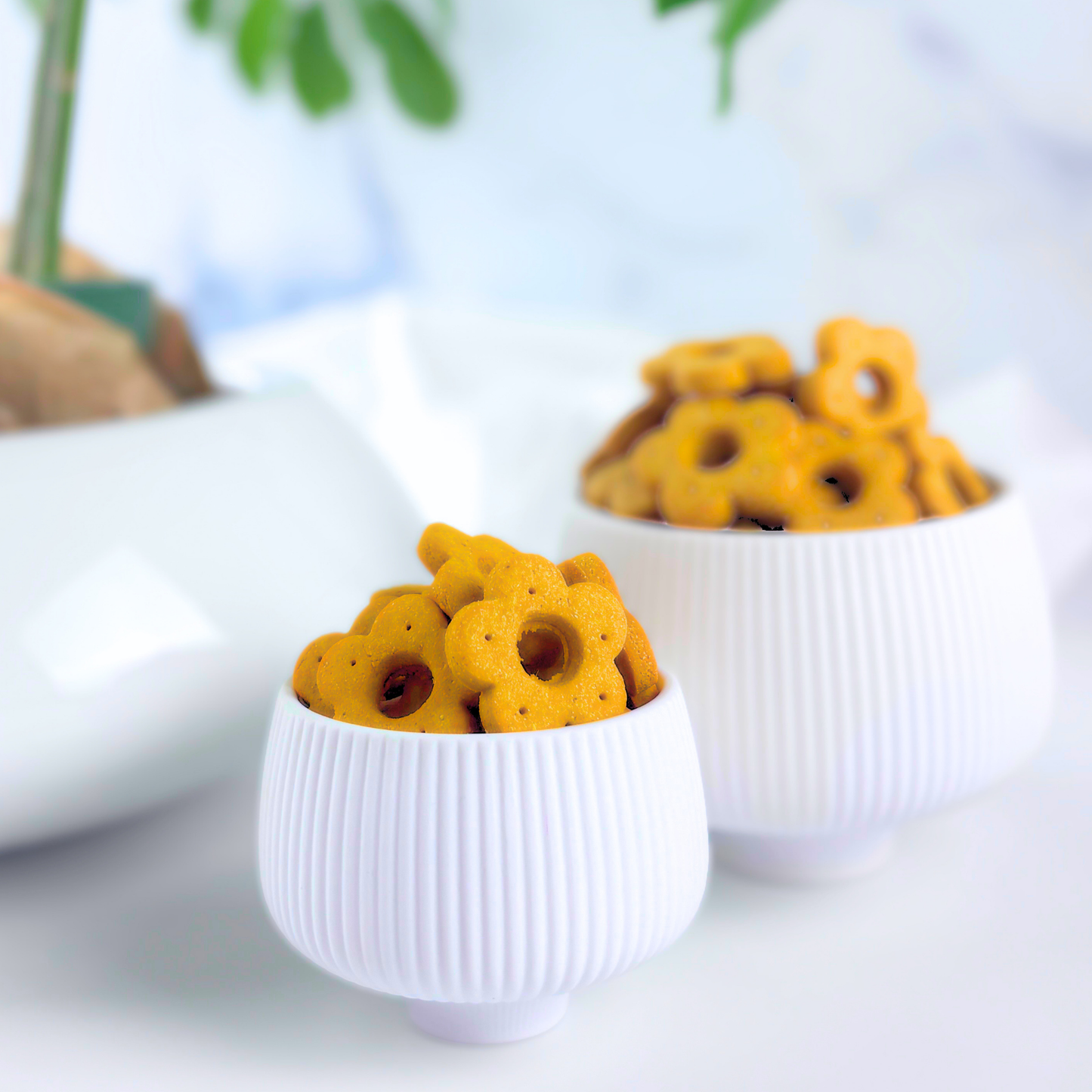 Daisy Bites Sweet Potato Ginger Turmeric Dog Treats | Anti-Inflammatory | Hand-Cut | Gift-Ready