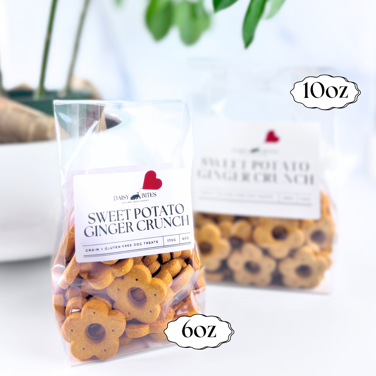 Daisy Bites Sweet Potato Ginger Turmeric Dog Treats | Anti-Inflammatory | Hand-Cut | Gift-Ready
